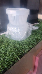 Fridge Organizer Food Storage Leakproof Container (Set Of 2 Pcs)